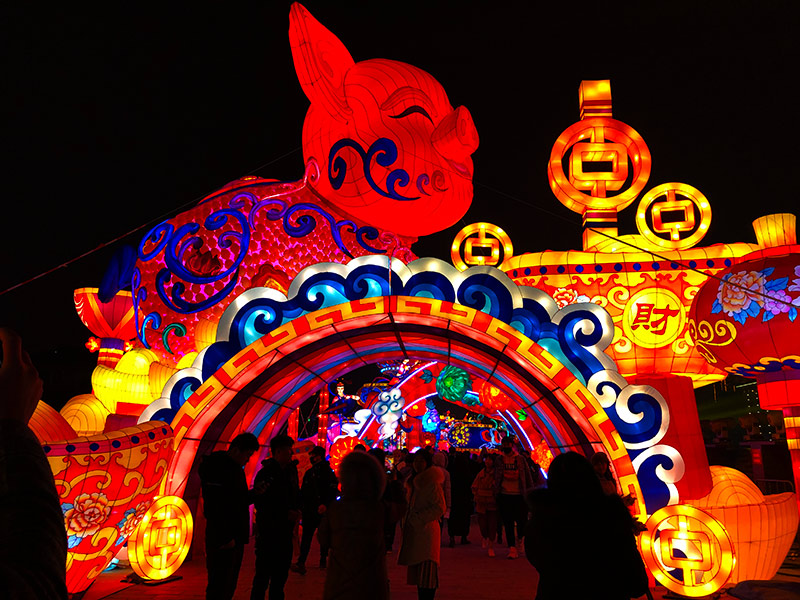 生肖花燈，花燈制作，豬年花燈，